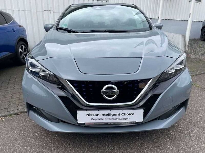 Nissan Leaf Tekna 360° Leder Bose 8-fach Bereift